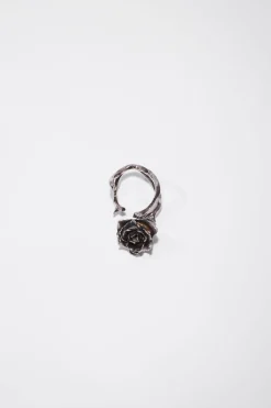 Rosen-Ring
