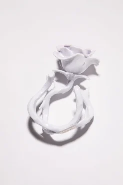 Rosen-Ring